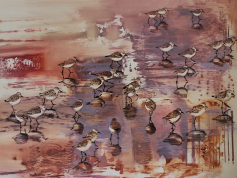Snowy Plovers
36x48
oil on paper on aluminum Snowy Plovers
36x48
oil on paper on aluminum